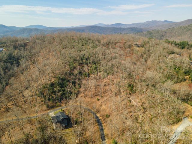 0 Shining Rock Path 11, Horse Shoe, NC 28742
