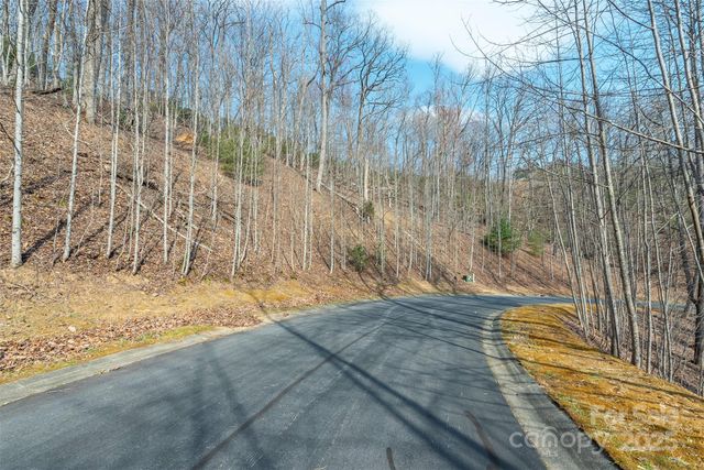 0 Shining Rock Path 11, Horse Shoe, NC 28742