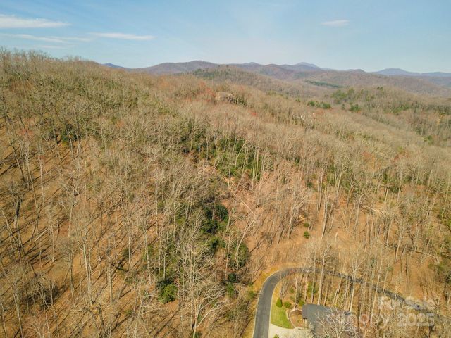 0 Shining Rock Path 11, Horse Shoe, NC 28742
