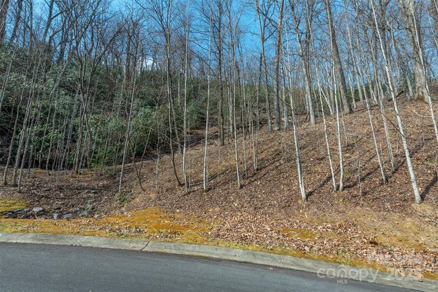 0 Shining Rock Path 11, Horse Shoe, NC 28742