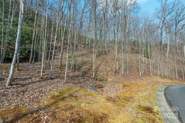 0 Shining Rock Path 11, Horse Shoe, NC 28742