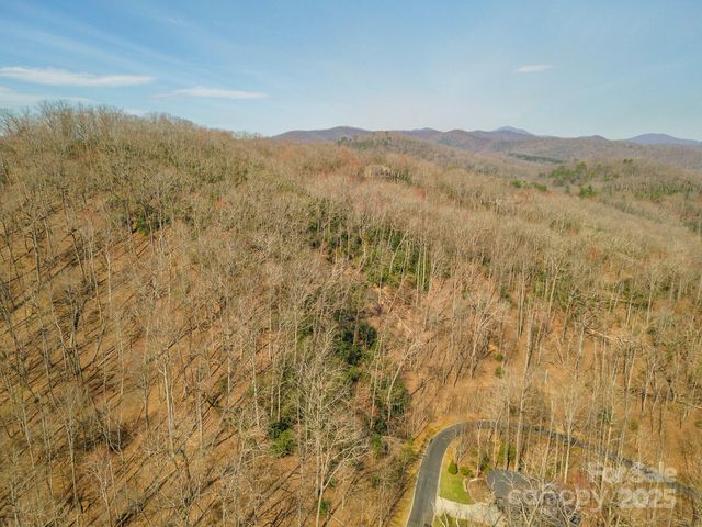 0 Shining Rock Path 11, Horse Shoe, NC 28742