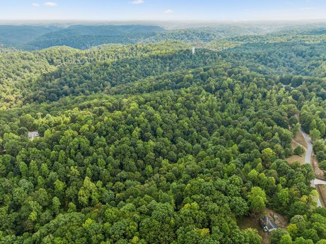 0 Gibbs Rd, Ashland City, TN 37015