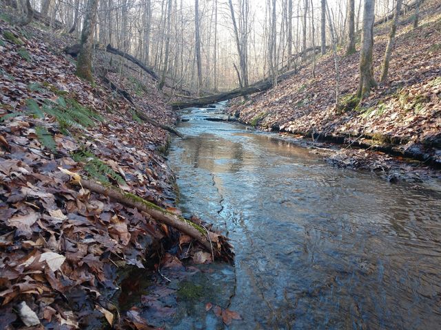 0 Gibbs Rd, Ashland City, TN 37015