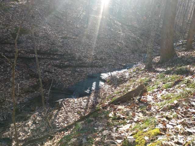 0 Gibbs Rd, Ashland City, TN 37015
