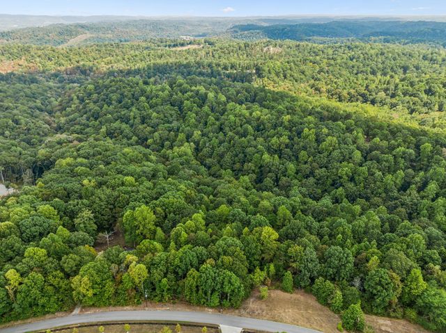 0 Gibbs Rd, Ashland City, TN 37015