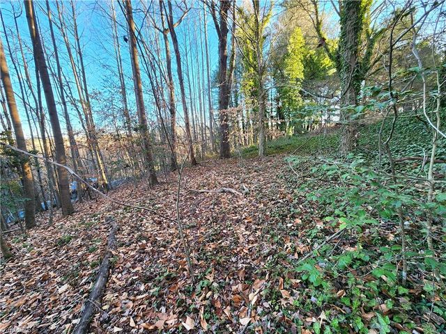 543 Fisher Valley Road, Dobson, NC 27017