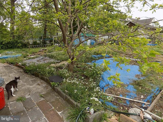 4416 ELVENA AVE, Pennsauken, NJ 08109