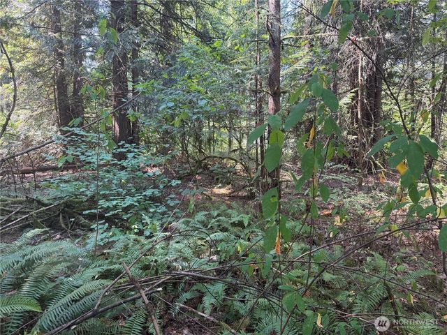 11000 226th Avenue E, Buckley, WA 98321