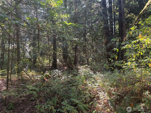 11000 226th Avenue E, Buckley, WA 98321