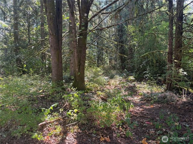 11000 226th Avenue E, Buckley, WA 98321