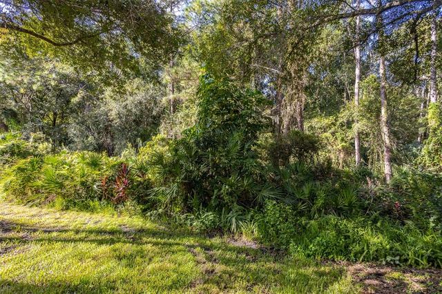 17708 NATHANS DRIVE, Tampa, FL 33647