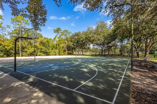 17708 NATHANS DRIVE, Tampa, FL 33647