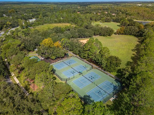 17708 NATHANS DRIVE, Tampa, FL 33647