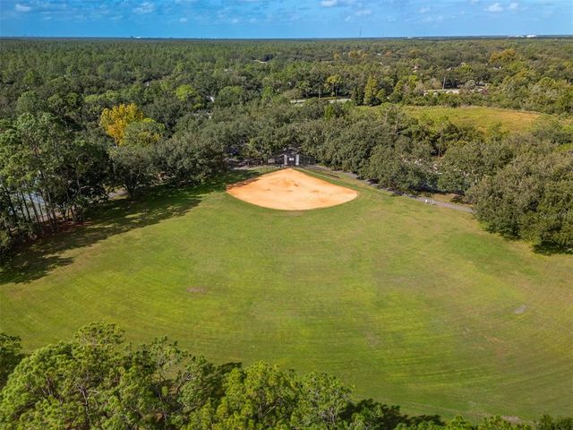 17708 NATHANS DRIVE, Tampa, FL 33647