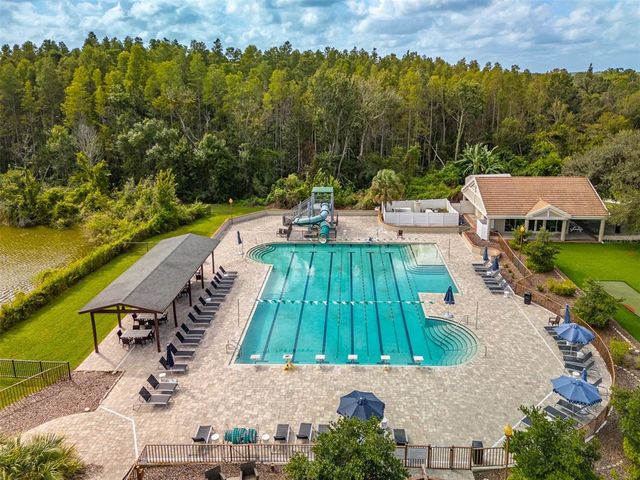 17708 NATHANS DRIVE, Tampa, FL 33647