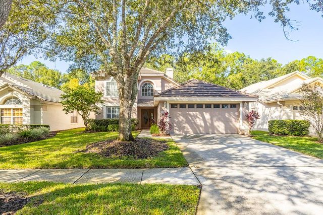 17708 NATHANS DRIVE, Tampa, FL 33647