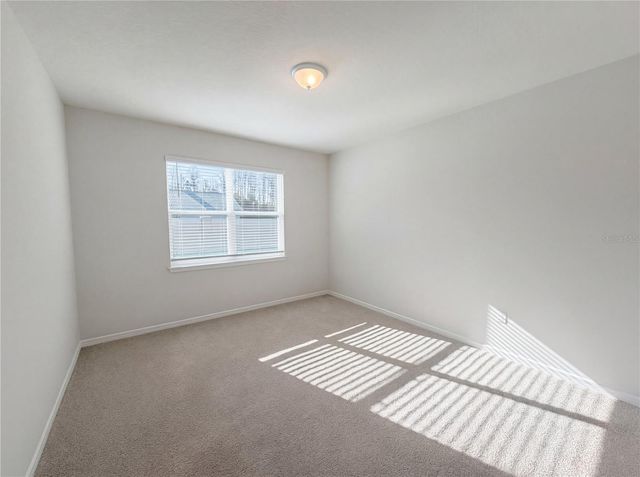 20416 MONZA LOOP, Land O Lakes, FL 34638