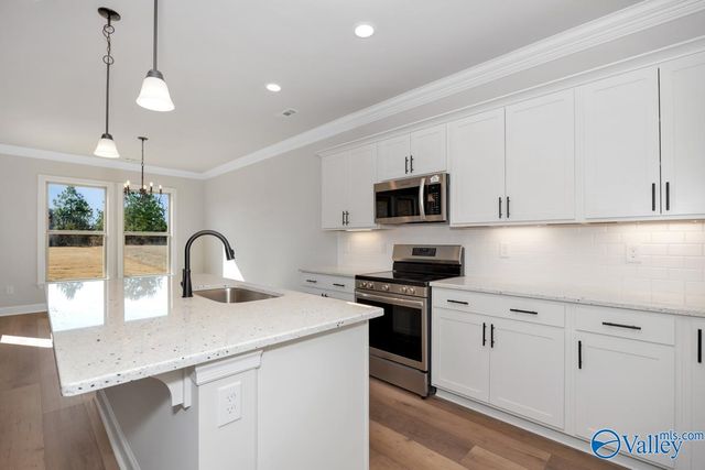 24098 Quints Drive, Athens, AL 35613