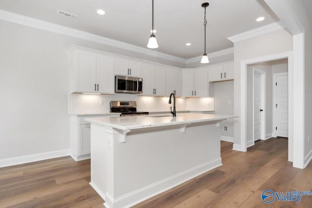 24098 Quints Drive, Athens, AL 35613
