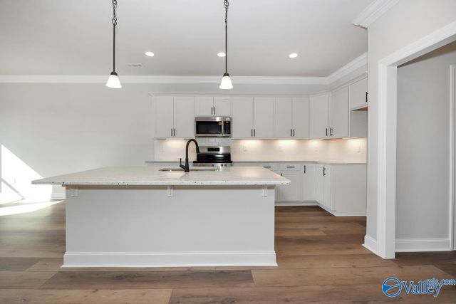 24098 Quints Drive, Athens, AL 35613