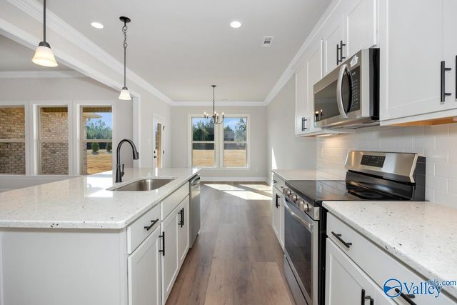 24098 Quints Drive, Athens, AL 35613