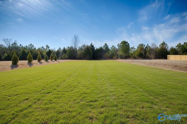 24098 Quints Drive, Athens, AL 35613