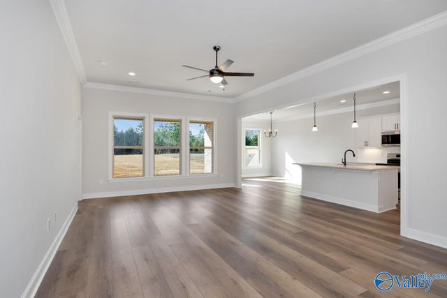 24098 Quints Drive, Athens, AL 35613