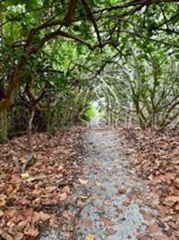 521 NEPTUNE AVENUE, Longboat Key, FL 34228