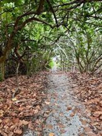 521 NEPTUNE AVENUE, Longboat Key, FL 34228