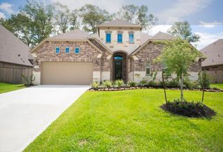 18851 Collins View Drive, New Caney, TX 77357