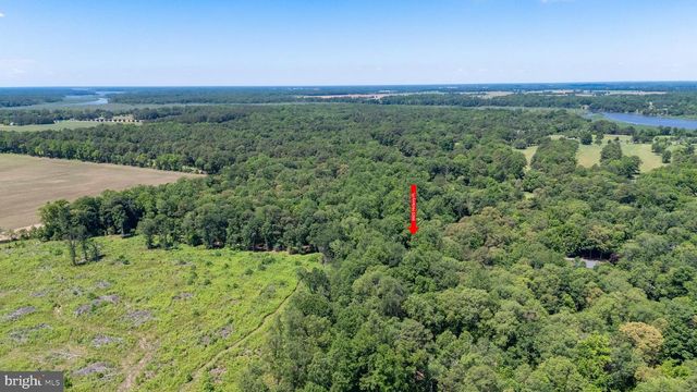 8605 HICKORY PL, Denton, MD 21629