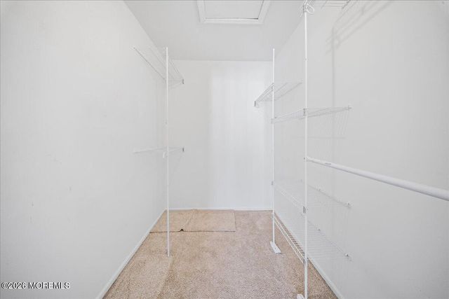 8 Deptford Court 6, Freehold, NJ 07728