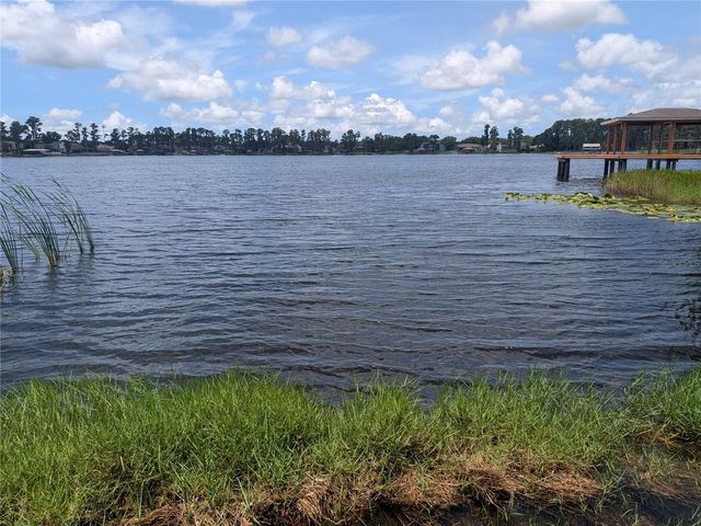 14232 CHISHOLM LANE, Odessa, FL 33556