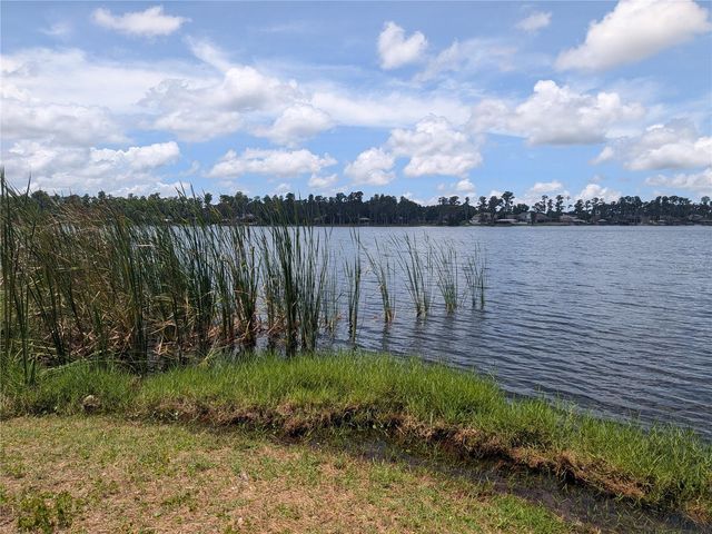 14232 CHISHOLM LANE, Odessa, FL 33556