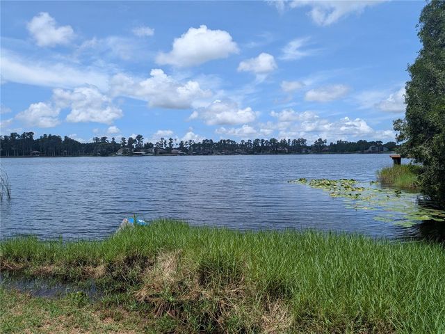 14232 CHISHOLM LANE, Odessa, FL 33556