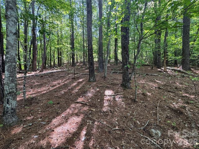 0 Island Creek Road 1, Lake Lure, NC 28746