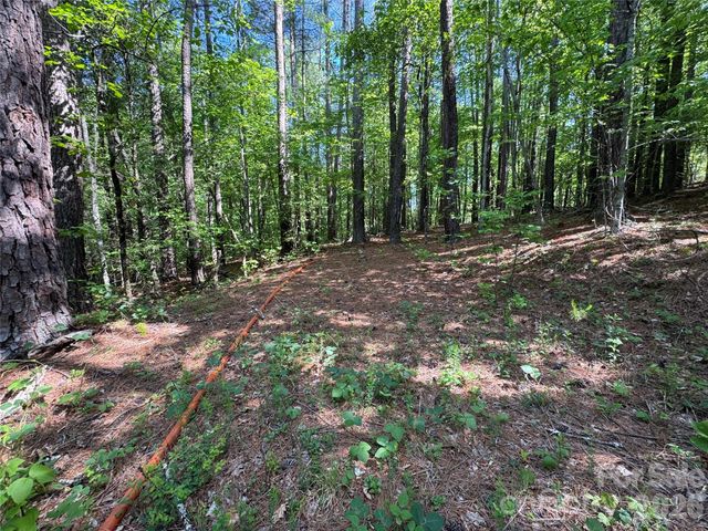 0 Island Creek Road 1, Lake Lure, NC 28746