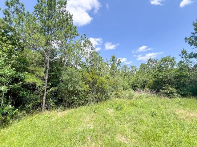 13 Rec Road 255, Colmesneil, TX 75938