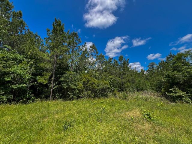 13 Rec Road 255, Colmesneil, TX 75938