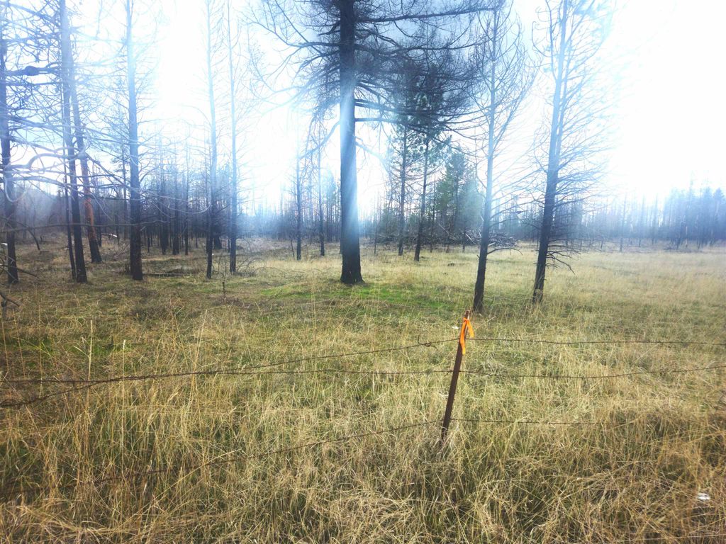 000 Frideger 49013.9036 Rd, Elk, WA 99009