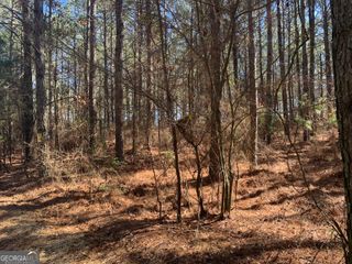 0 Veterans Drive, Danielsville, GA 30633