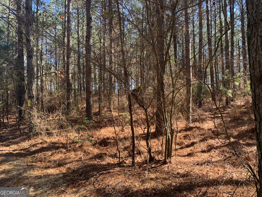 0 Veterans Drive, Danielsville, GA 30633