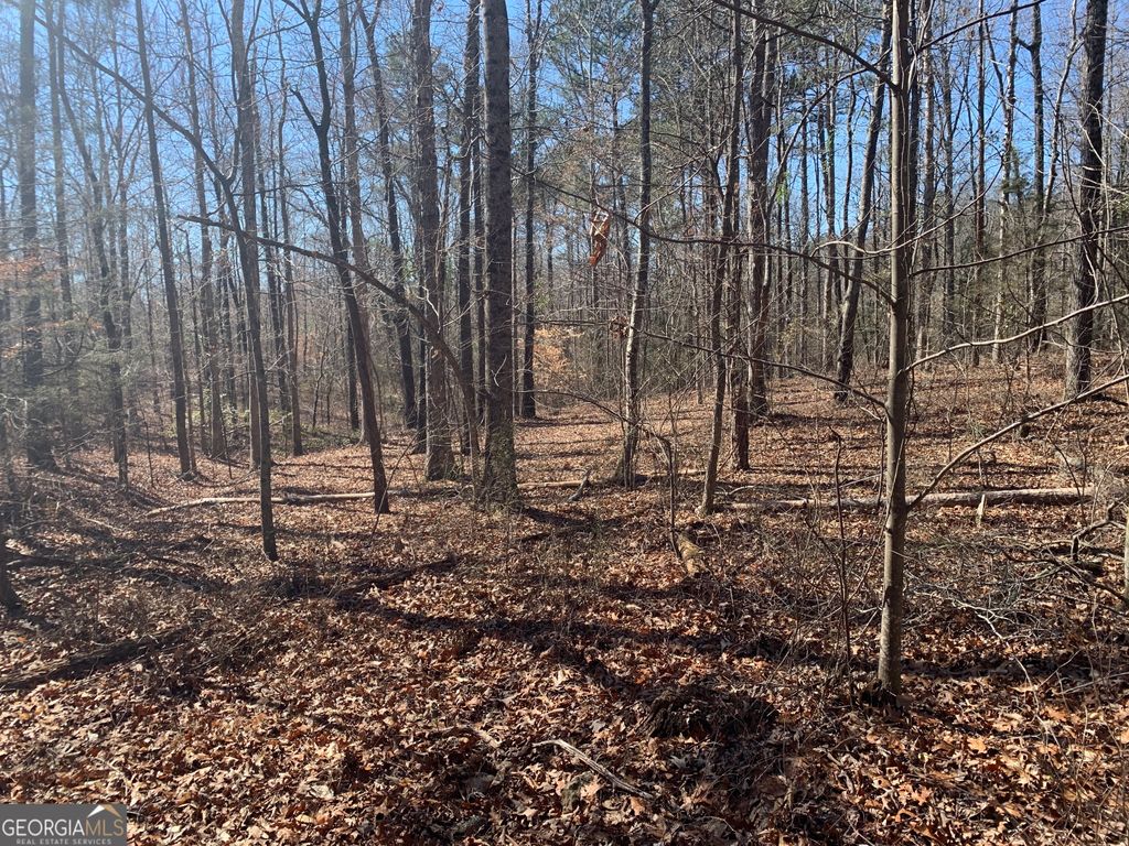 0 Veterans Drive, Danielsville, GA 30633 — photo 2