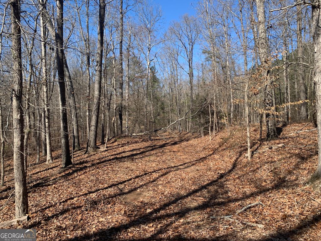 0 Veterans Drive, Danielsville, GA 30633 — photo 3
