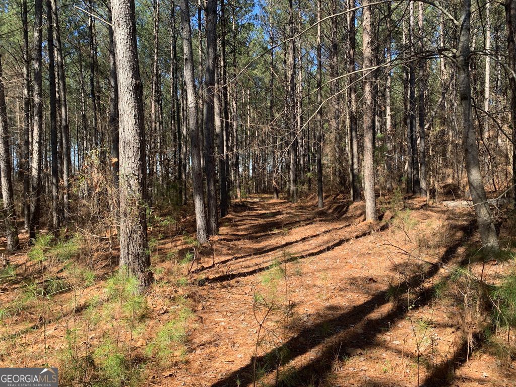 0 Veterans Drive, Danielsville, GA 30633 — photo 4