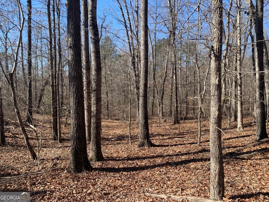 0 Veterans Drive, Danielsville, GA 30633 — photo 5