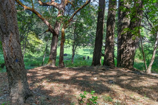 3950 Little Applegate Road, Jacksonville, OR 97530