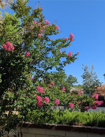 2684 San Lago Court, Las Vegas, NV 89121