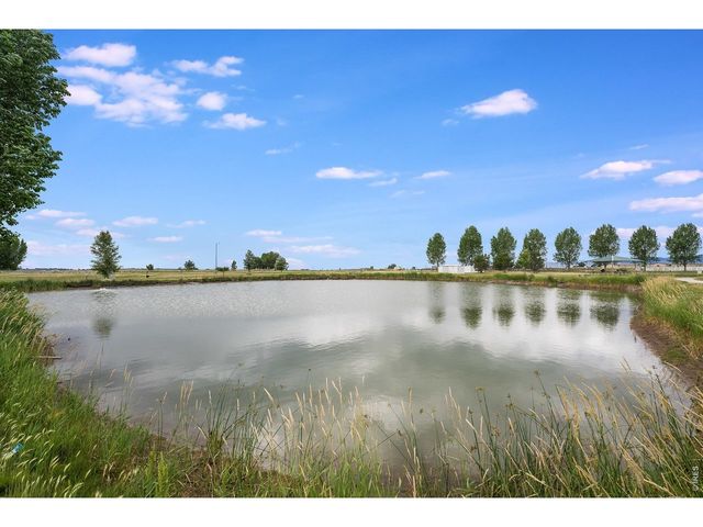 7001 Sumner St, Wellington, CO 80549